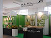 Taropak 2010