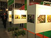 Poleko 2010