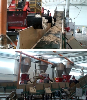 Suszenie folii MT Recykling
