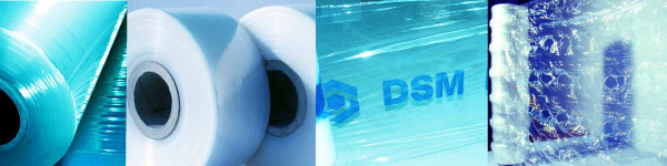 folia eximport