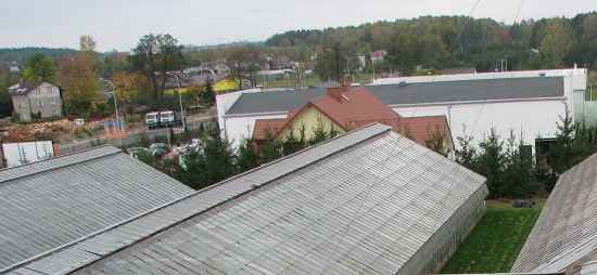 Stłuczka szkalrniowa - Anix
