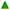 wzrost