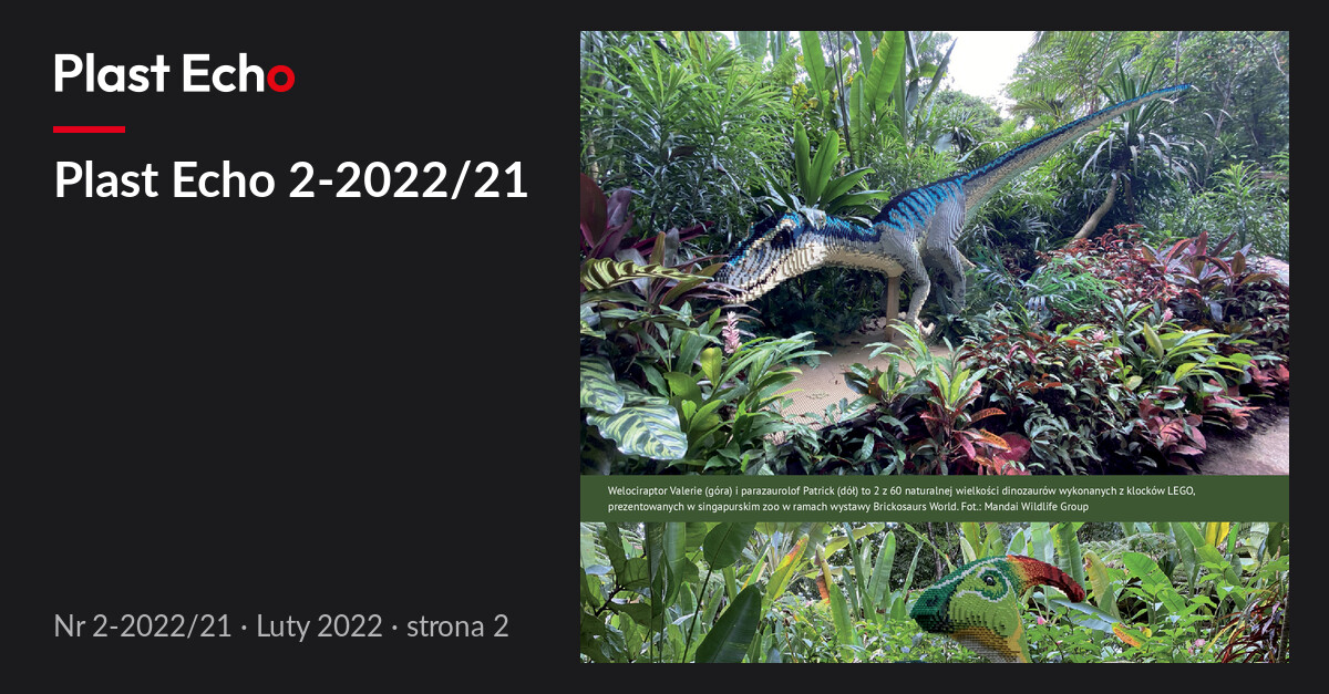 Plast Echo 2-2022/21, Luty 2022, s. 2