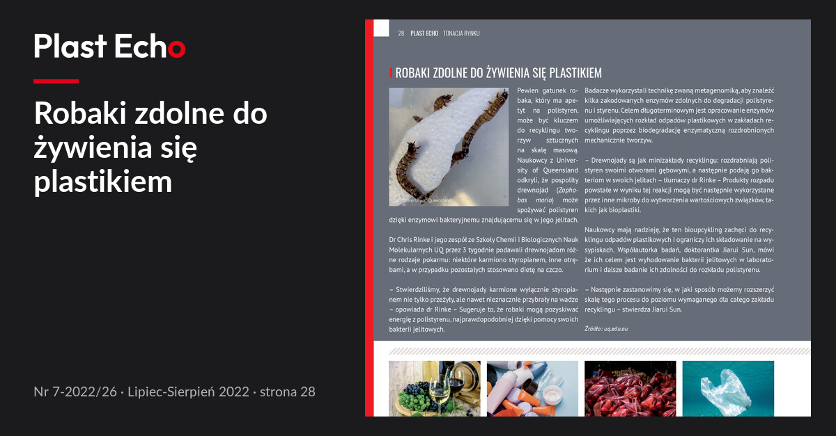 Robaki zdolne do żywienia się plastikiem | Plast Echo 7-2022/26, Lipiec-Sierpień 2022, s. 28