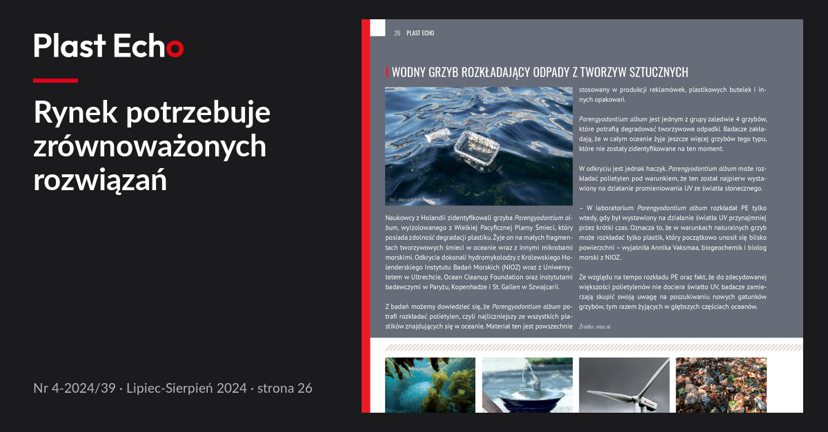 Rynek potrzebuje zrównoważonych rozwiązań | Plast Echo 4-2024/39, Lipiec-Sierpień 2024, s. 26