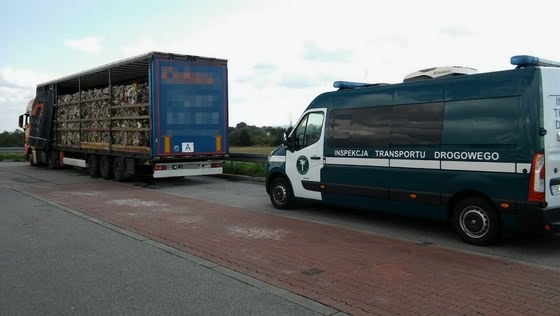 Nielegalnie przewozili śmieci z Niemiec do Polski