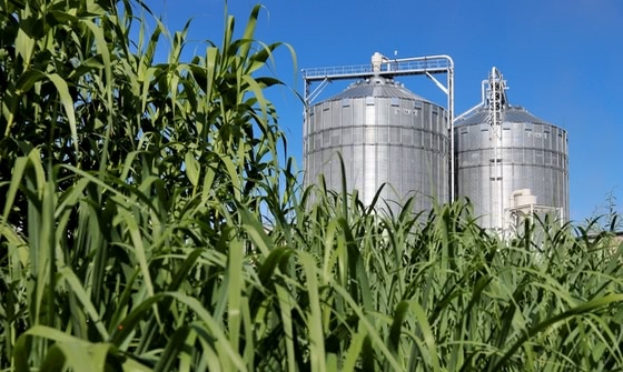 Future technologies for food and biomass production 