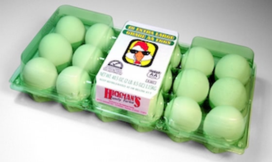 From PET bottles bales to egg packs with Amut technology