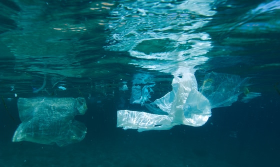 Na szczycie G7 podpisano "Ocean Plastics Charter" 