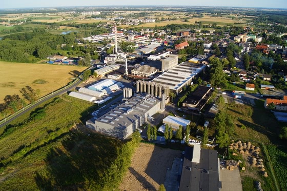 Wzrost przychodów Grupy Ergis