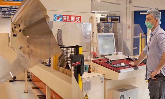 New FlexFilms e-commerce Website "FLEX-BuzzR"