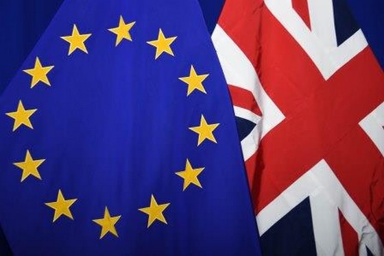House of Lords calls for clarification on chemicals regulation post-Brexit