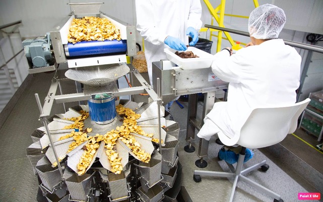Kompletne rozwiązanie do pakowania suszonych przekąsek z owoców