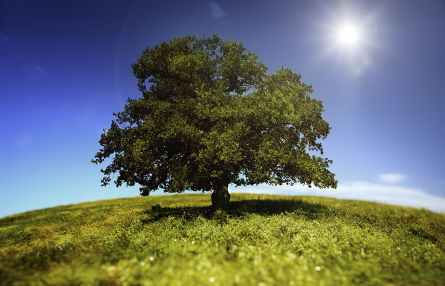 The 2nd Annual Bioplastics Innovation Forum
