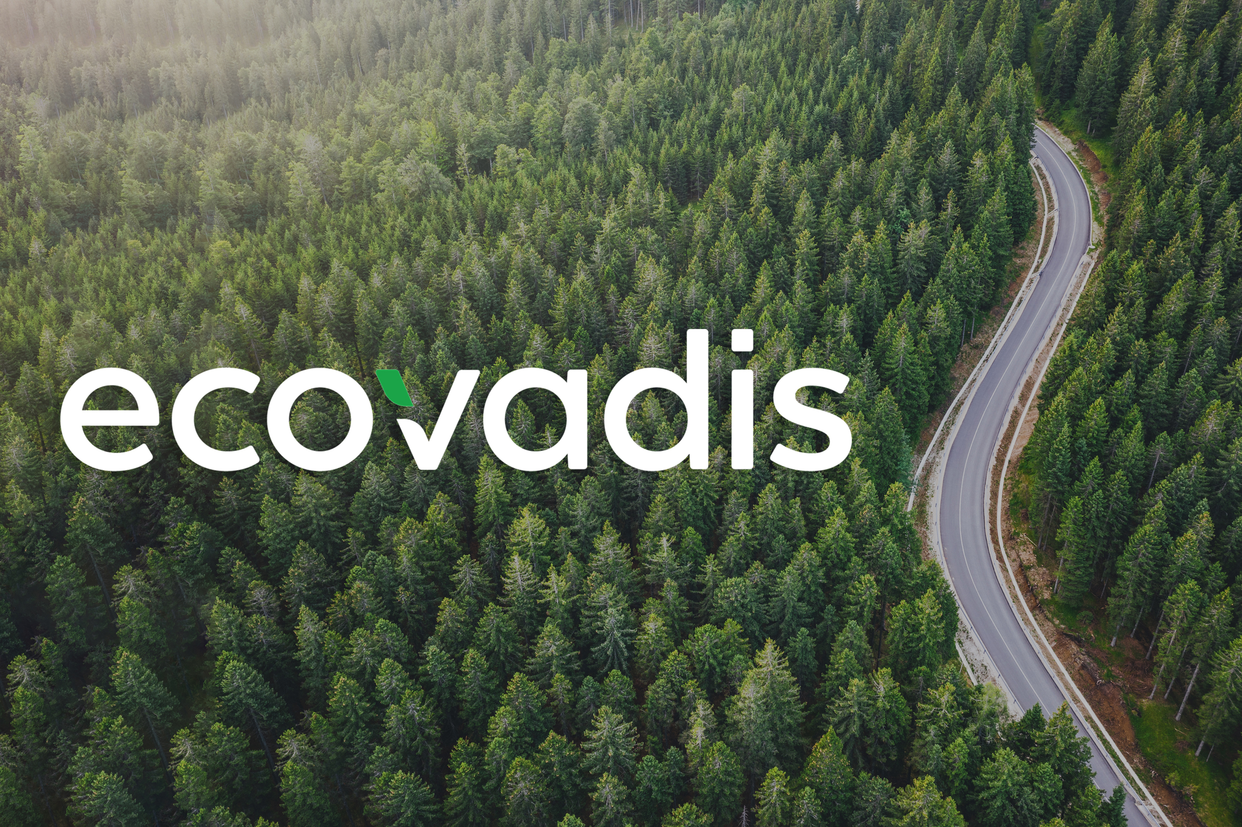 ecovadis-top