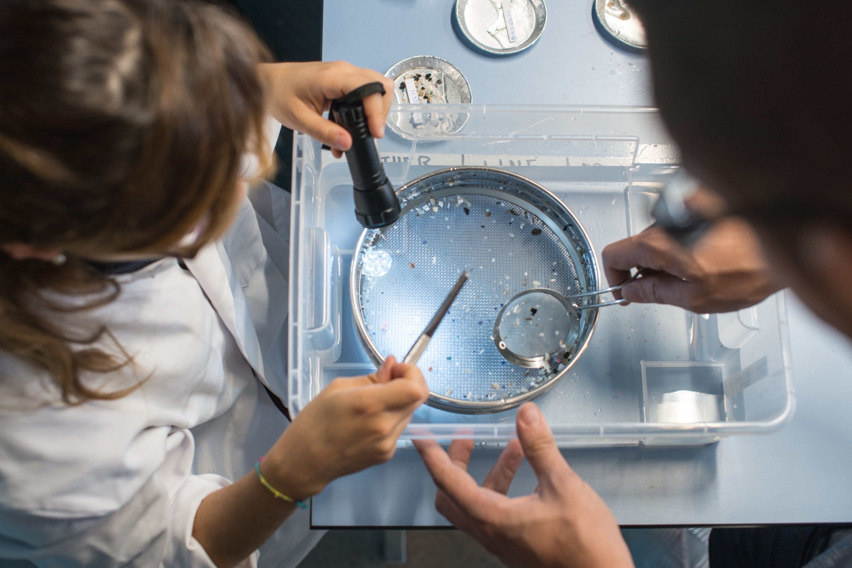 toc-ocean-research-lab-samples-1-2