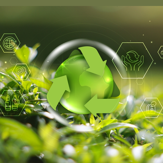 Transformacja branży recyklingowej w Polsce – wyzwania i perspektywy