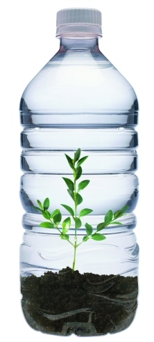Discarded PET bottles are reborn