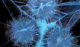 Effective cleaning with light