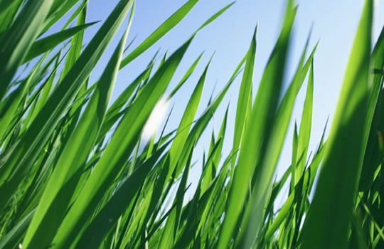Tale of three countries with high plastics packaging recycling rates