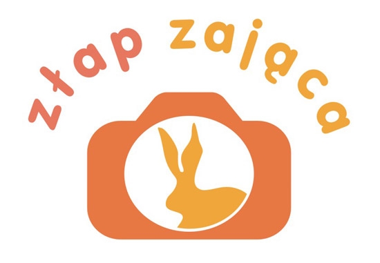 Znów łapią zająca
