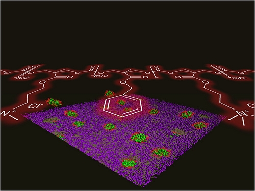 First biodegradable antimicrobial polymer nanoparticles