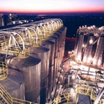 DSM launched NeoCryl B-300
