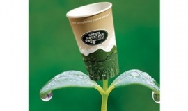 Green packaging market