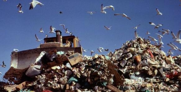 Packaging waste declining rapidly