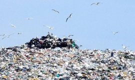 U.S. Marines denounced the War on Trash