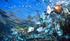 Global plastics industry launches action plan for solutions on marine litter