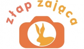 W pogoni za zającem