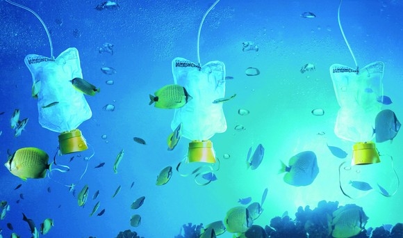 Tworzywa sztuczne problemem mórz i oceanów