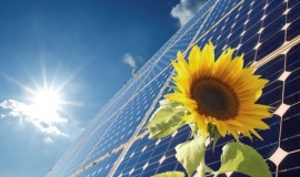 Dow begins production of Enlight Polyolefin Encapsulant Films 