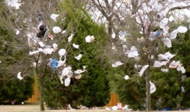 MEPs back the proposal on plastic carrier bags
