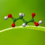  Reverdia showcases Biosuccinium at Chinaplas