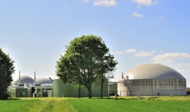 EU develops renewable bio-based economy