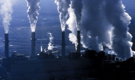 New successes for Bayer's CO2 research