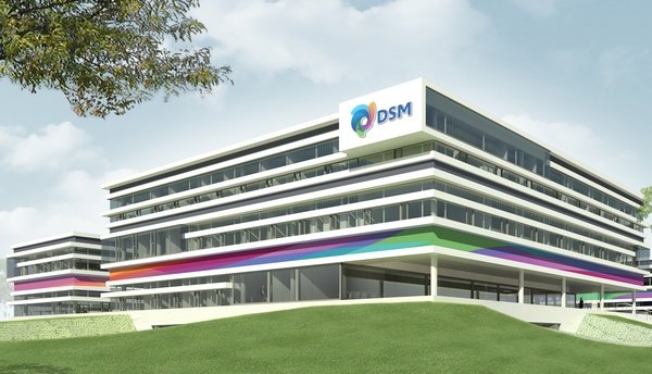 DSM opens international research center
