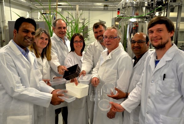 IBERS joins European sustainable packaging initiative