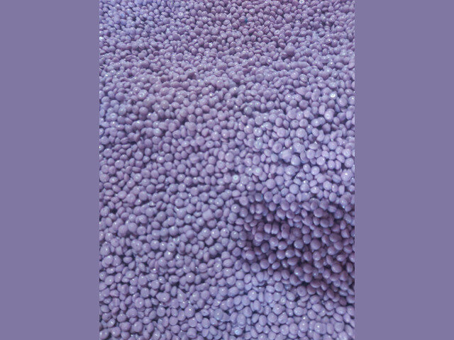 327117082-943481673308249-5847790227300945199-n