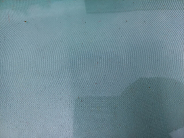 Plexi