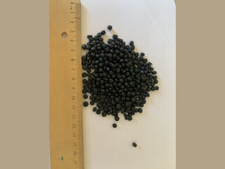 Czarny granulat PP-P
