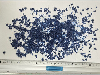 Blue POM, mixed-colo