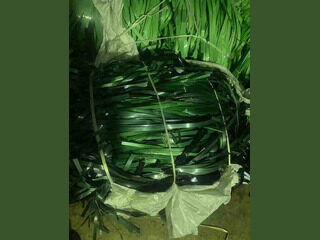 PET Strapping Bales