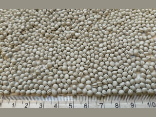 Grey PS (HIPS) regra