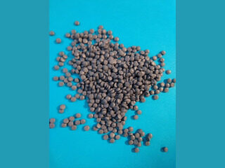 LDPE regranulat szar