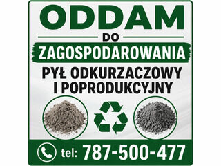 Pył odkurzaczowy i p