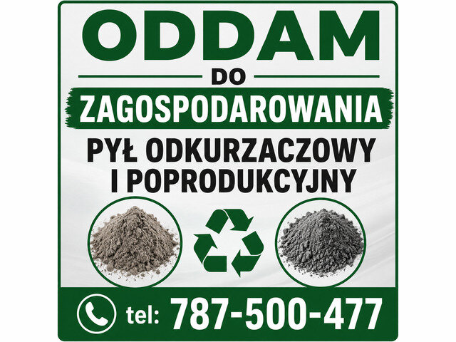 Pył odkurzaczowy i...