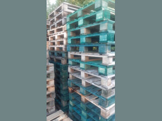 Pallets 120x110 cm